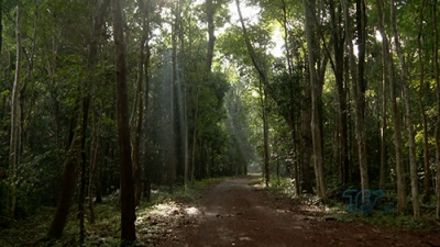 Sinh ra trong khói lửa