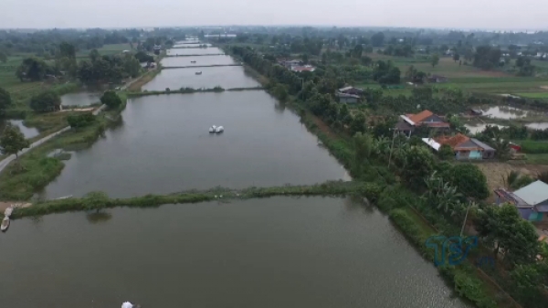 Đồng Tháp - đất sen hồng